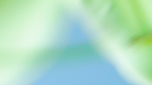 GPT-5.4-Cyber defensive model