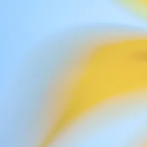 segurança de ferramentas de desenvolvedor da OpenAI